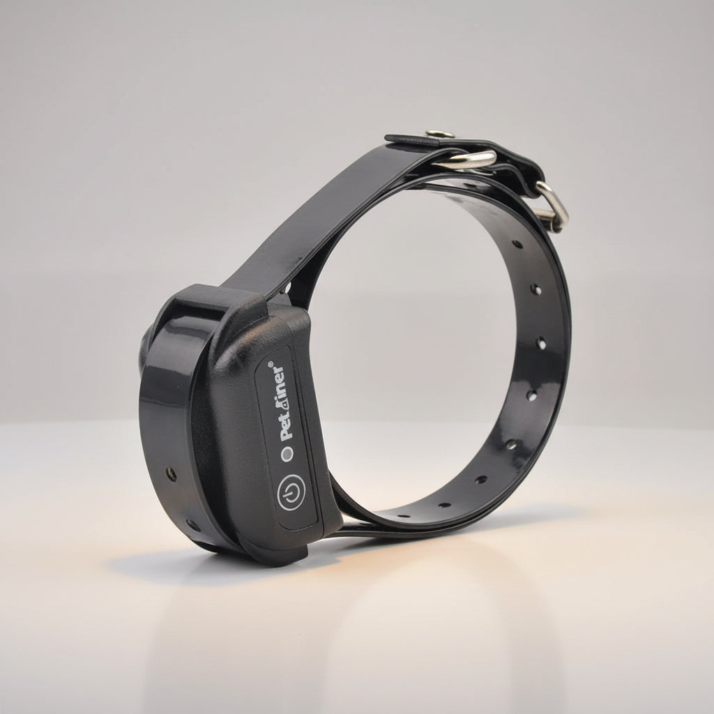 Dog Training Equipment and Accessories